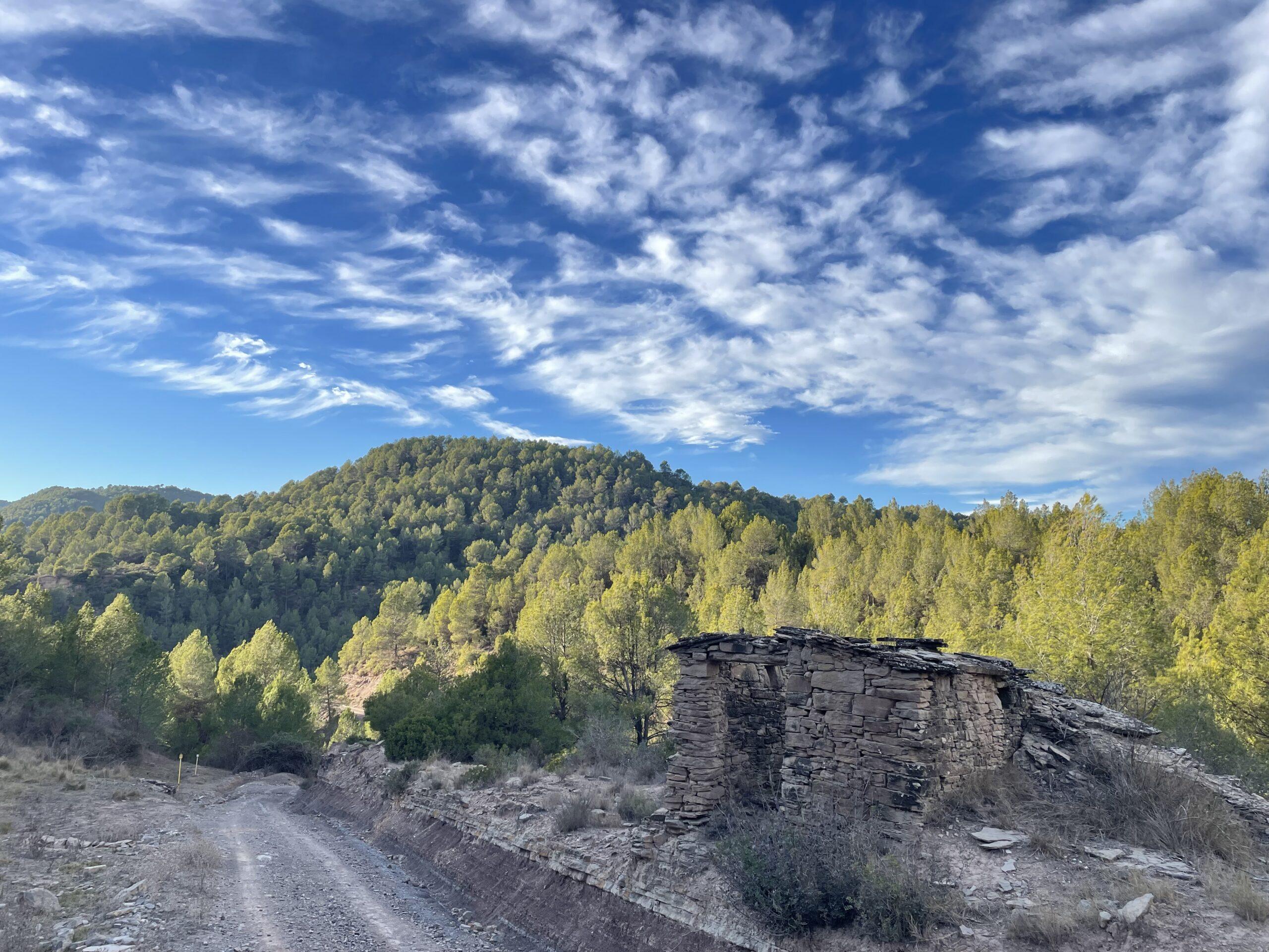 La ruta del vi de la DO Pla del Bages - Itinerari de pedra seca del Samuntà de Súria