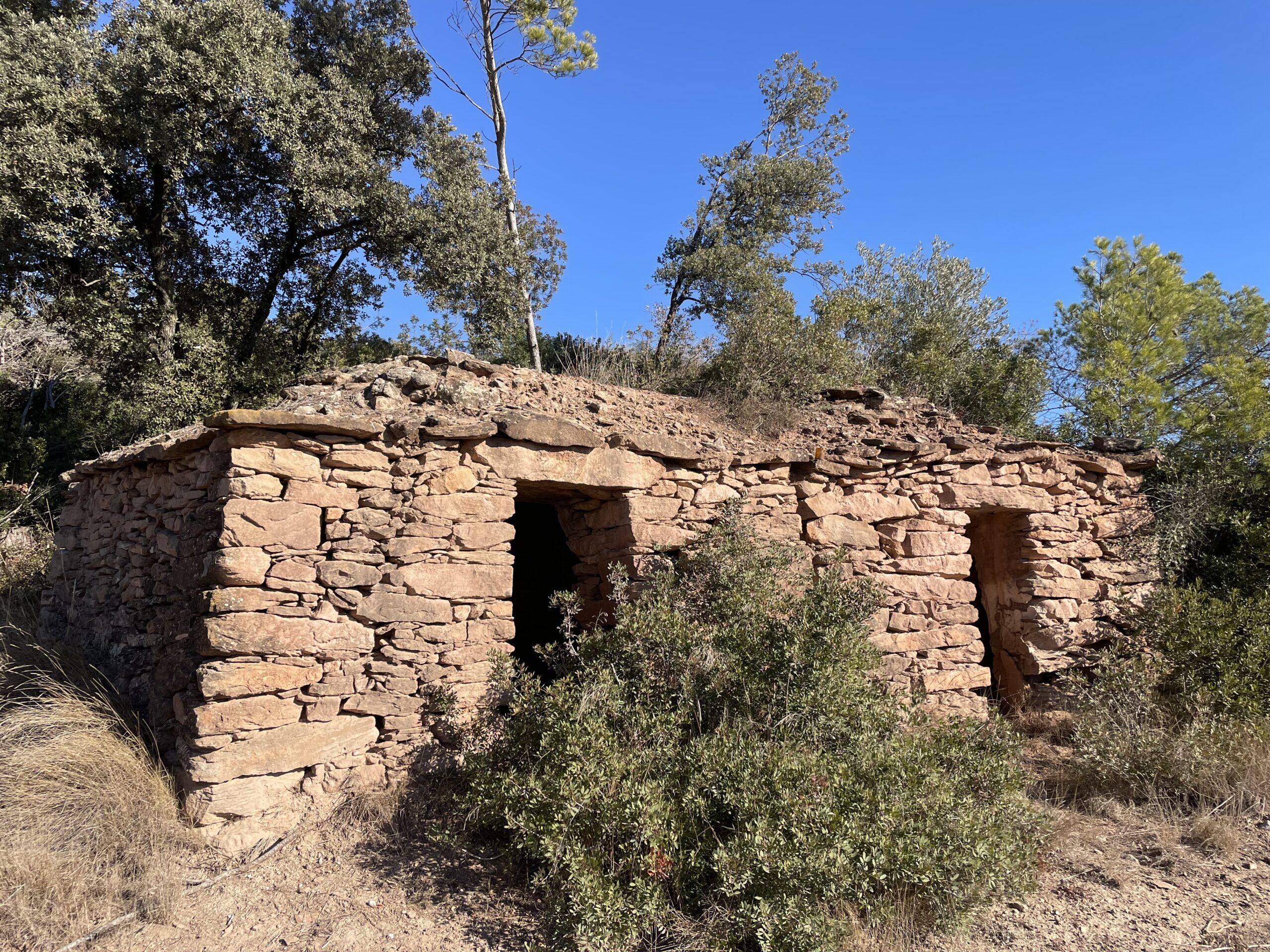 La ruta del vi de la DO Pla del Bages - Els boscos de Castellnou de Bages