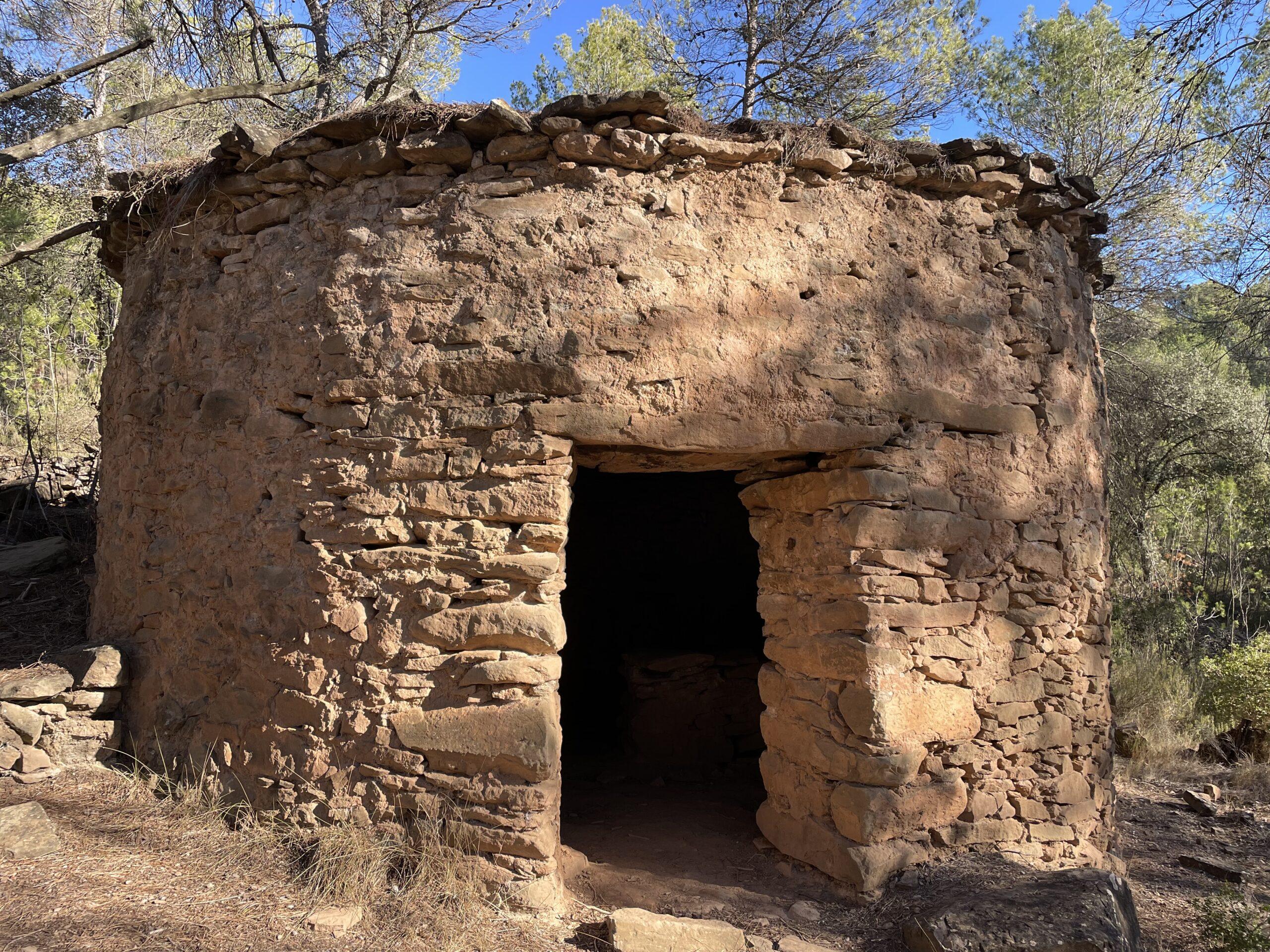 La ruta del vi de la DO Pla del Bages - Els boscos de Castellnou de Bages