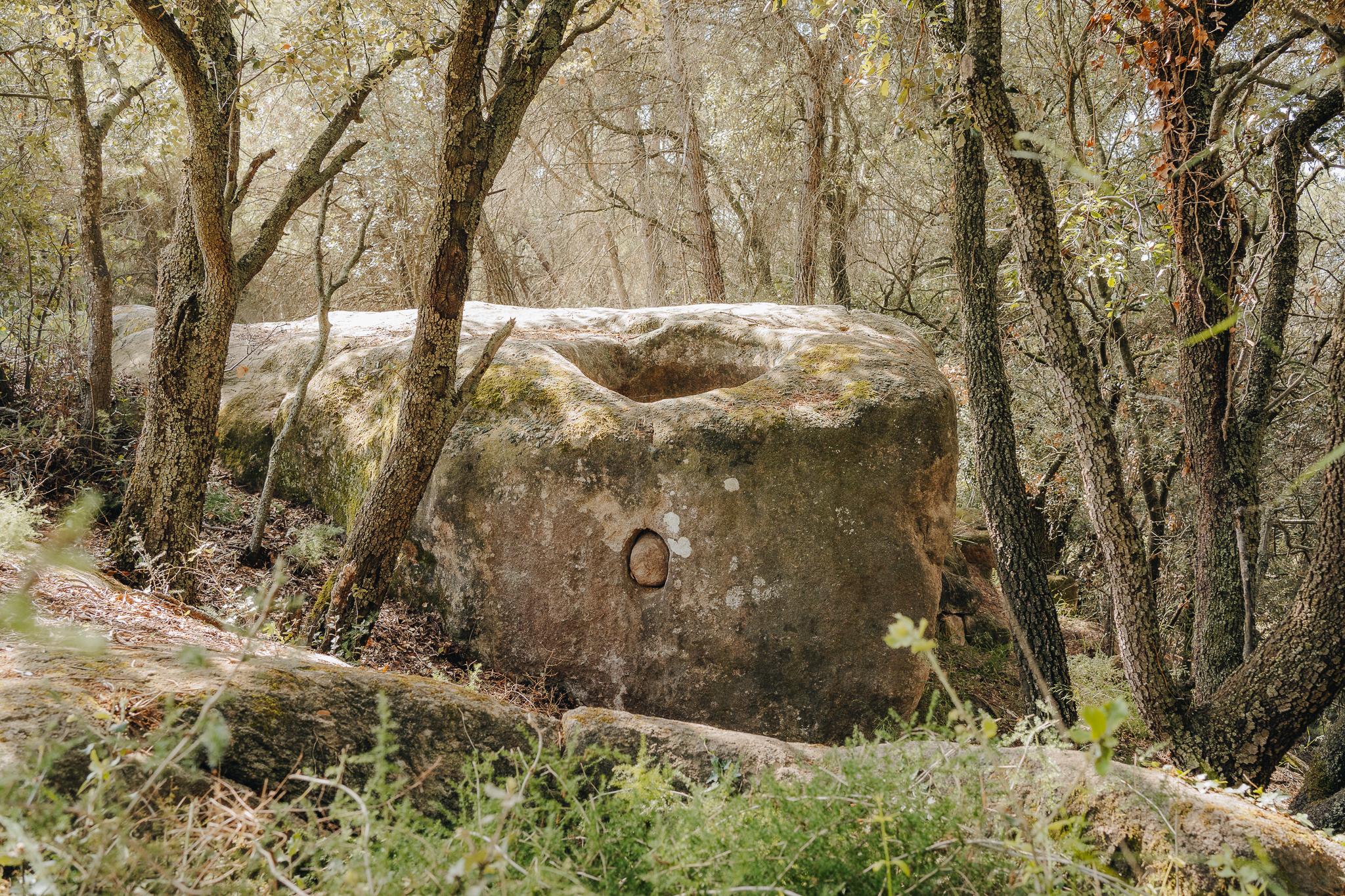 La ruta del vi de la DO Pla del Bages - Blog
