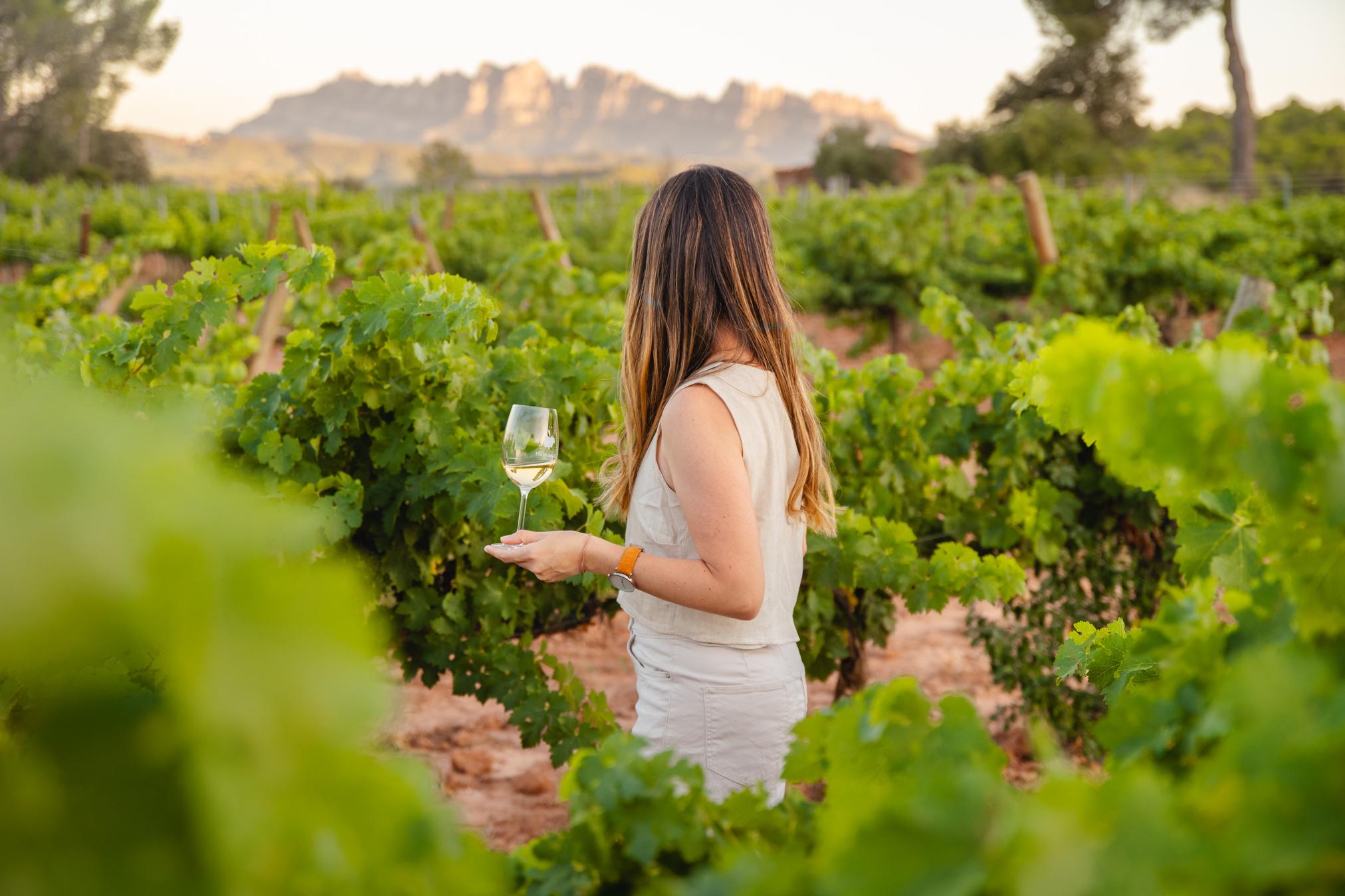 La ruta del vi de la DO Pla del Bages - Notes de tast als cellers
