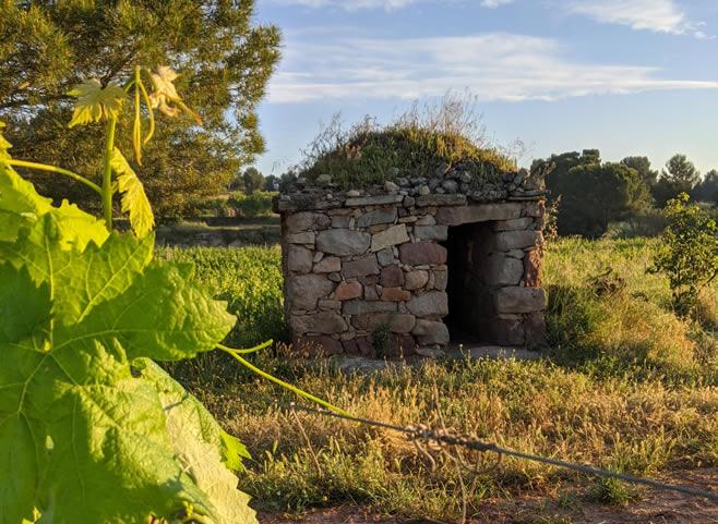 La ruta del vi de la DO Pla del Bages - Visite avec dégustation dans les vignes