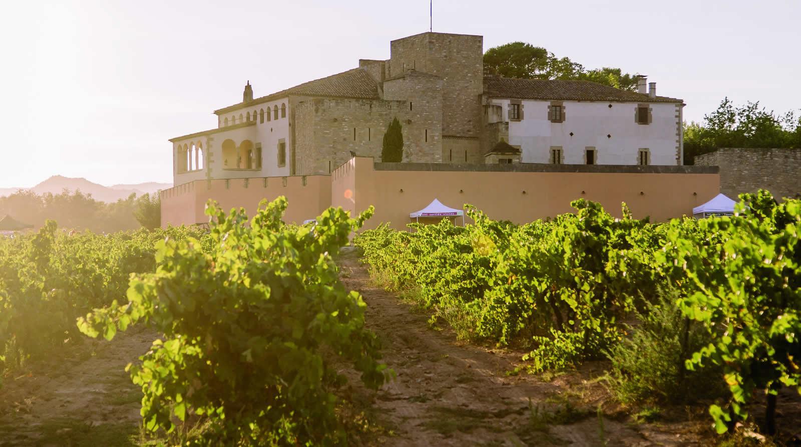 La ruta del vi de la DO Pla del Bages - Heretat Oller del Mas