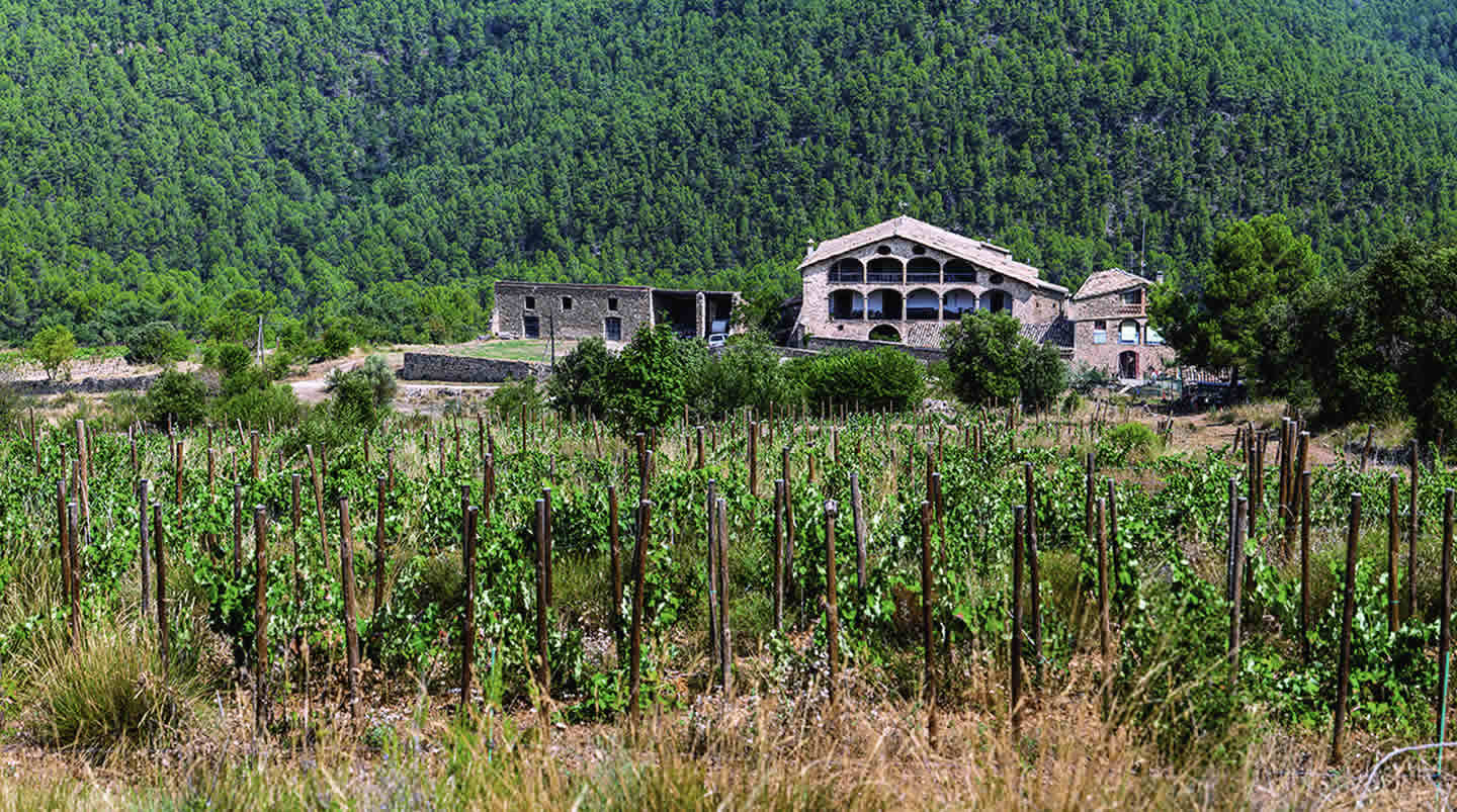 La ruta del vi de la DO Pla del Bages - Les cabanes de l'Oller