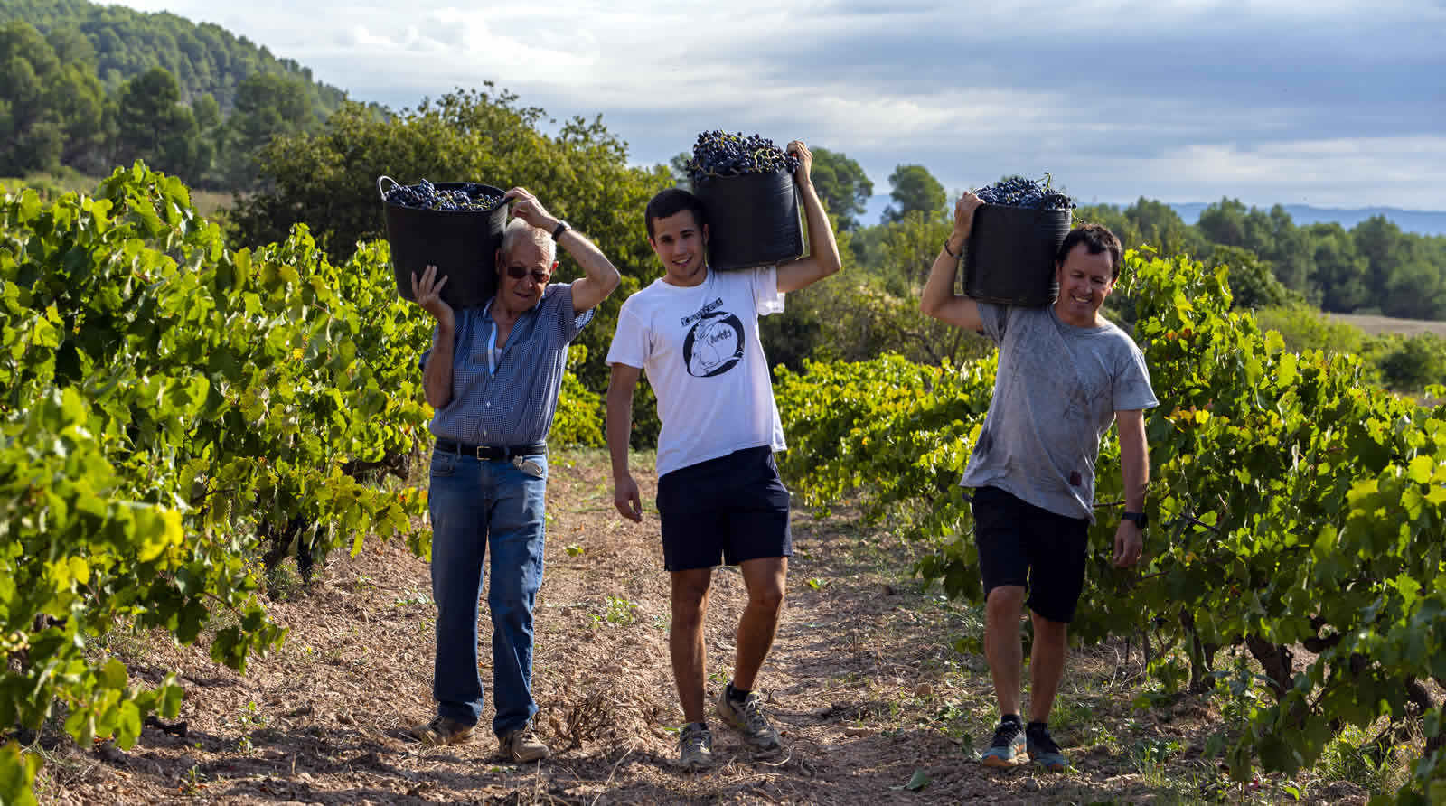 La ruta del vi de la DO Pla del Bages - Mas de Sant Iscle