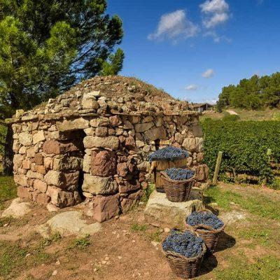 La ruta del vi de la DO Pla del Bages - La pedra seca explica l’arrelament al territori