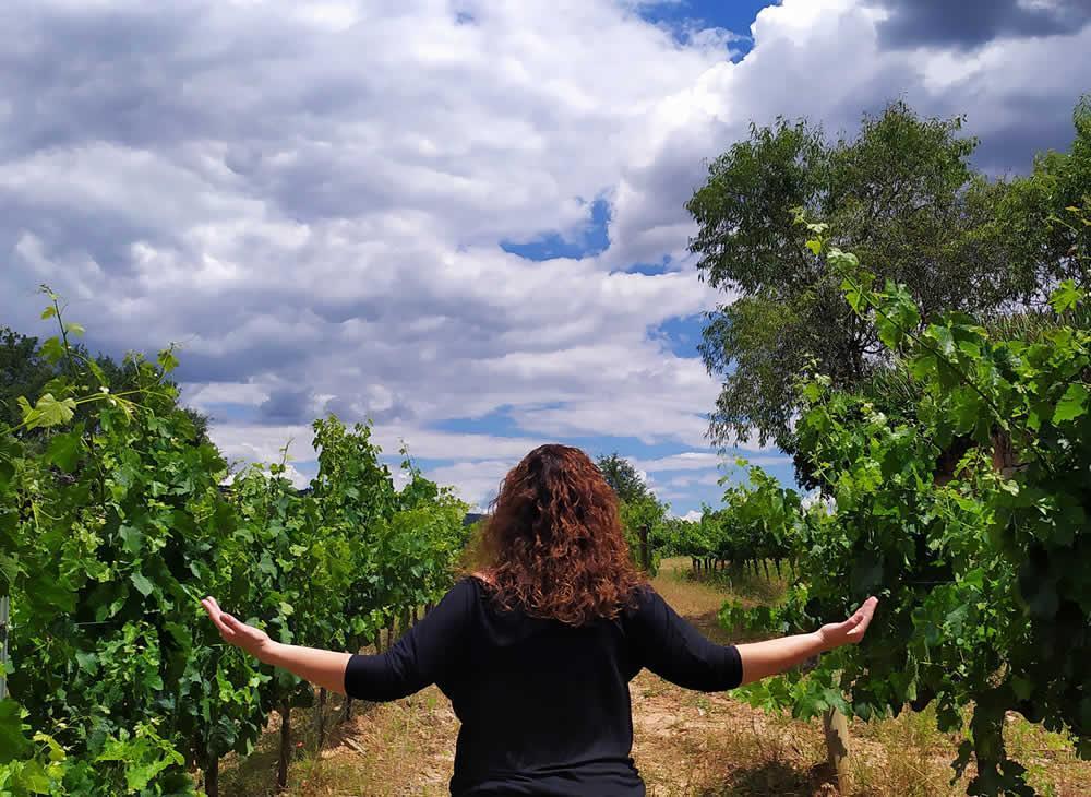 La ruta del vi de la DO Pla del Bages - Wine bar, mindfulness i winefulness con alojamiento en los Apartamentos las Bases