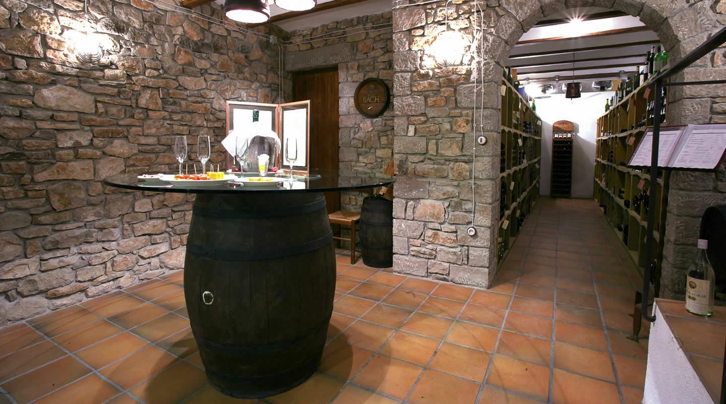 La ruta del vi de la DO Pla del Bages - Dry-stone vats route with wine tasting