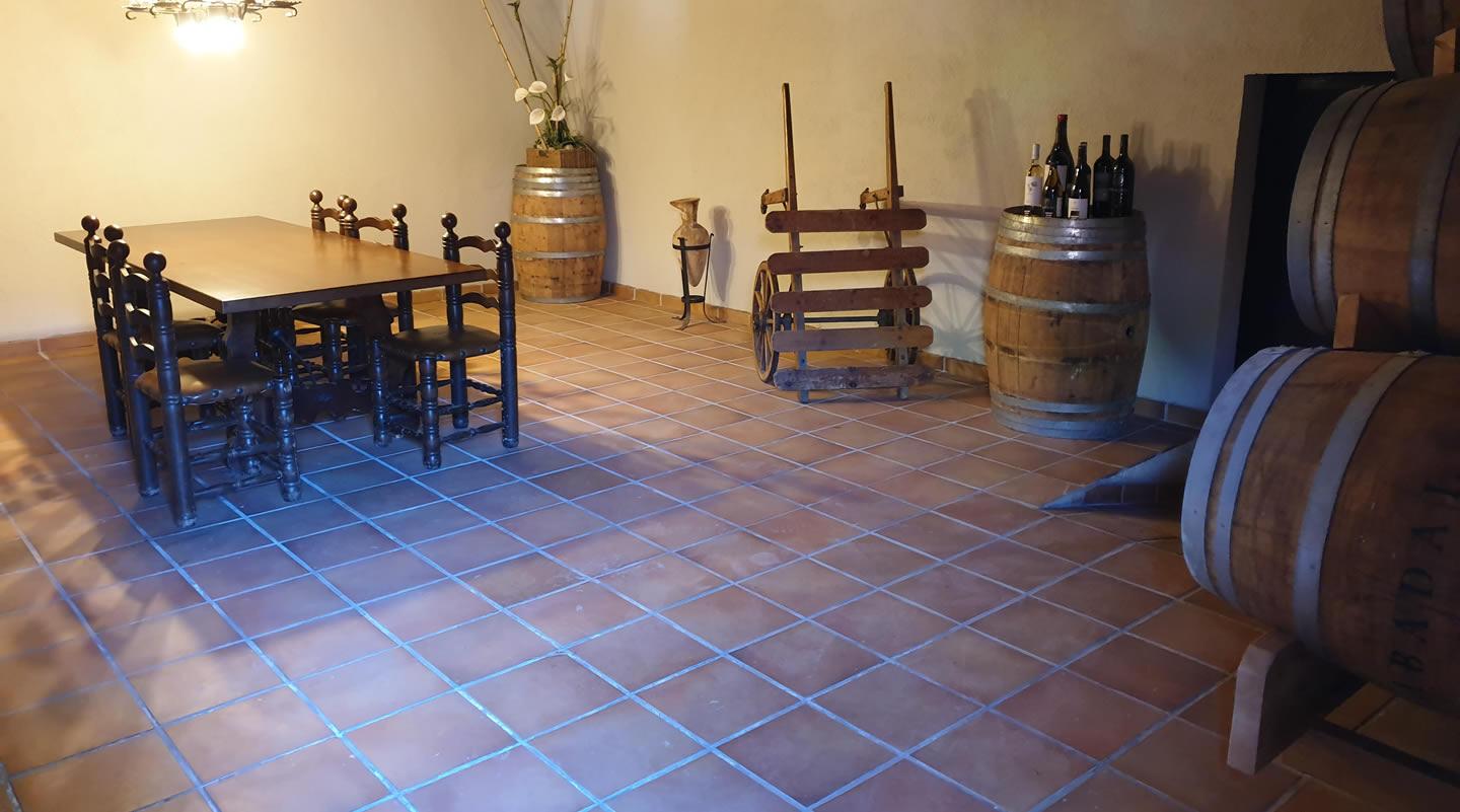 La ruta del vi de la DO Pla del Bages - Mas de la Sala