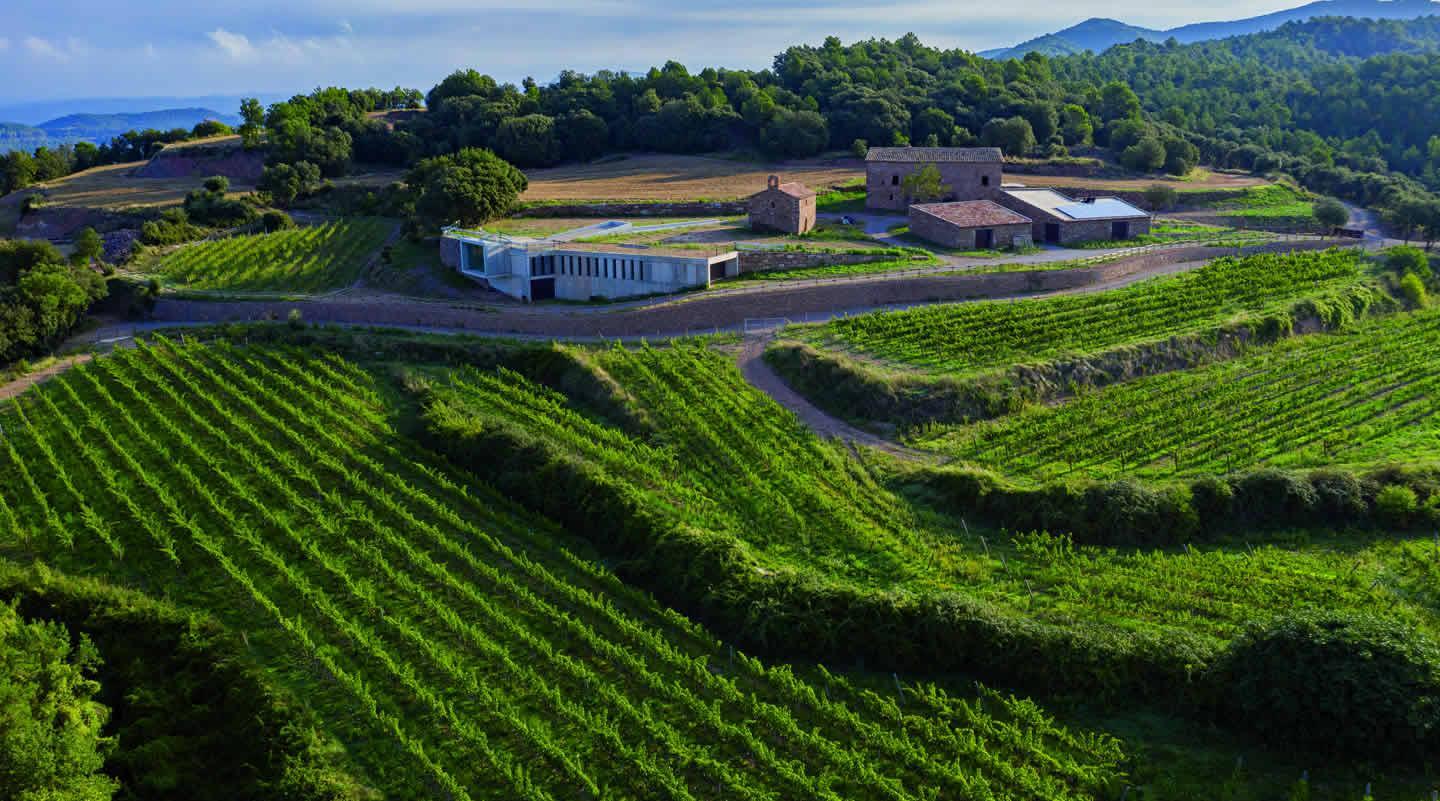 La ruta del vi de la DO Pla del Bages - Encas au milieu des vignes