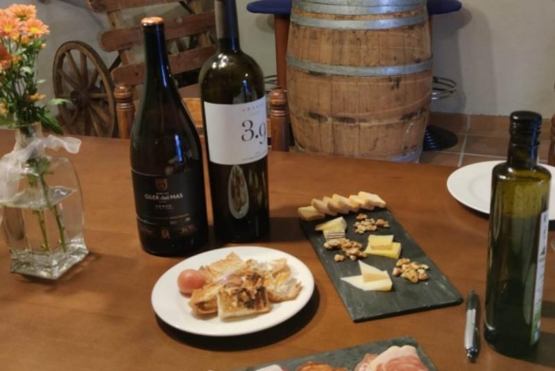 La ruta del vi de la DO Pla del Bages La ruta del vi de la DO Pla del Bages - Wine bar, mindfulness et winefulness avec hébergement dans les appartements Les Bases