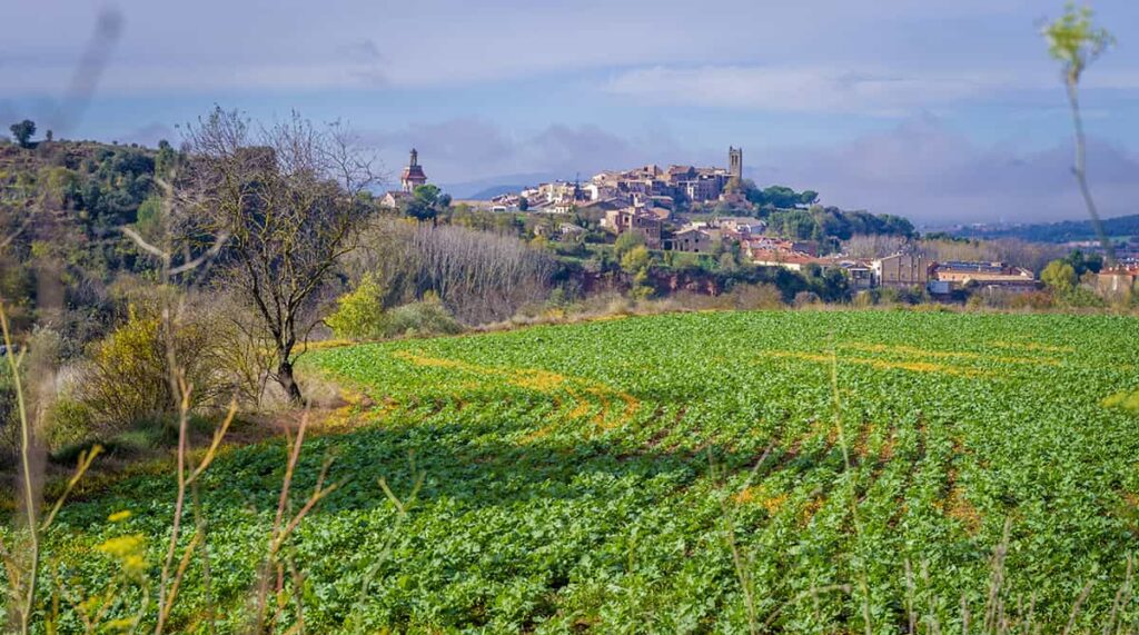 La ruta del vi de la DO Pla del Bages La ruta del vi de la DO Pla del Bages - Camins de vi