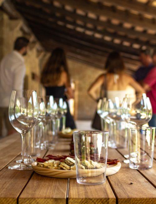 La ruta del vi de la DO Pla del Bages - Écorail et dégustation de vins