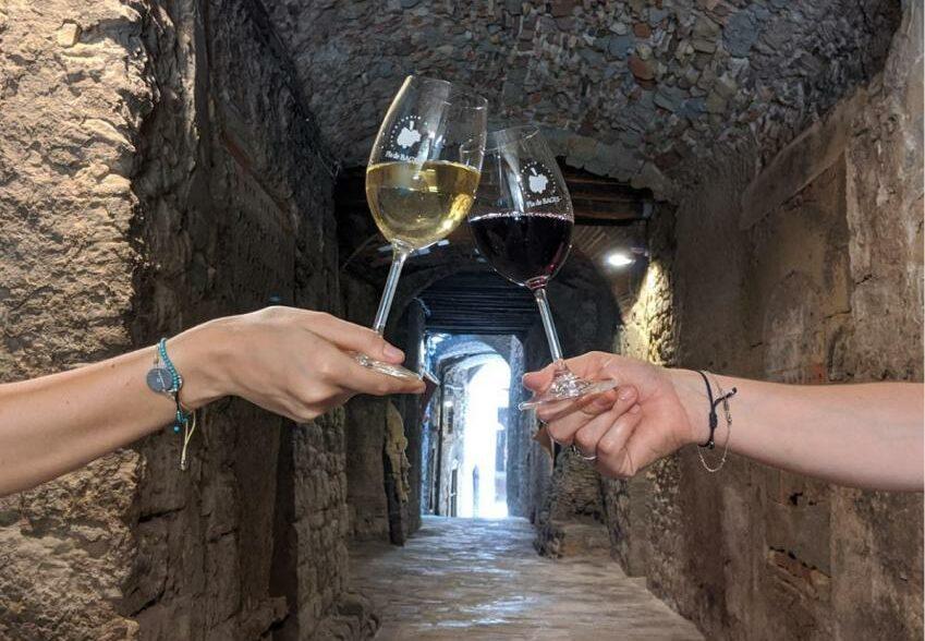 La ruta del vi de la DO Pla del Bages - Visita Amants de la Història