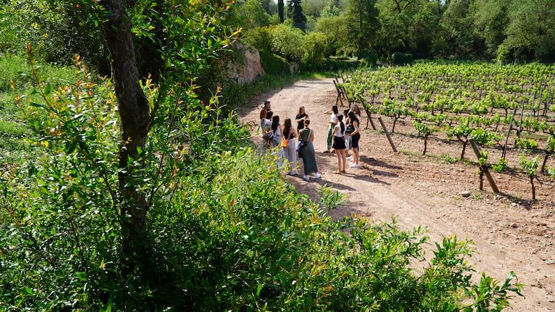 La ruta del vi de la DO Pla del Bages - Tot el que fascina els enoturistes del Bages (i no s’imaginaven)