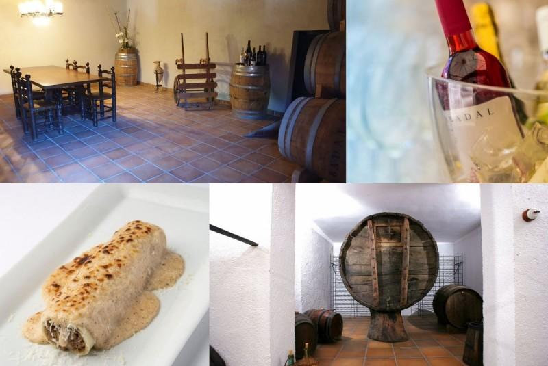 La ruta del vi de la DO Pla del Bages - Visita al celler Abadal amb nit a les Quingles