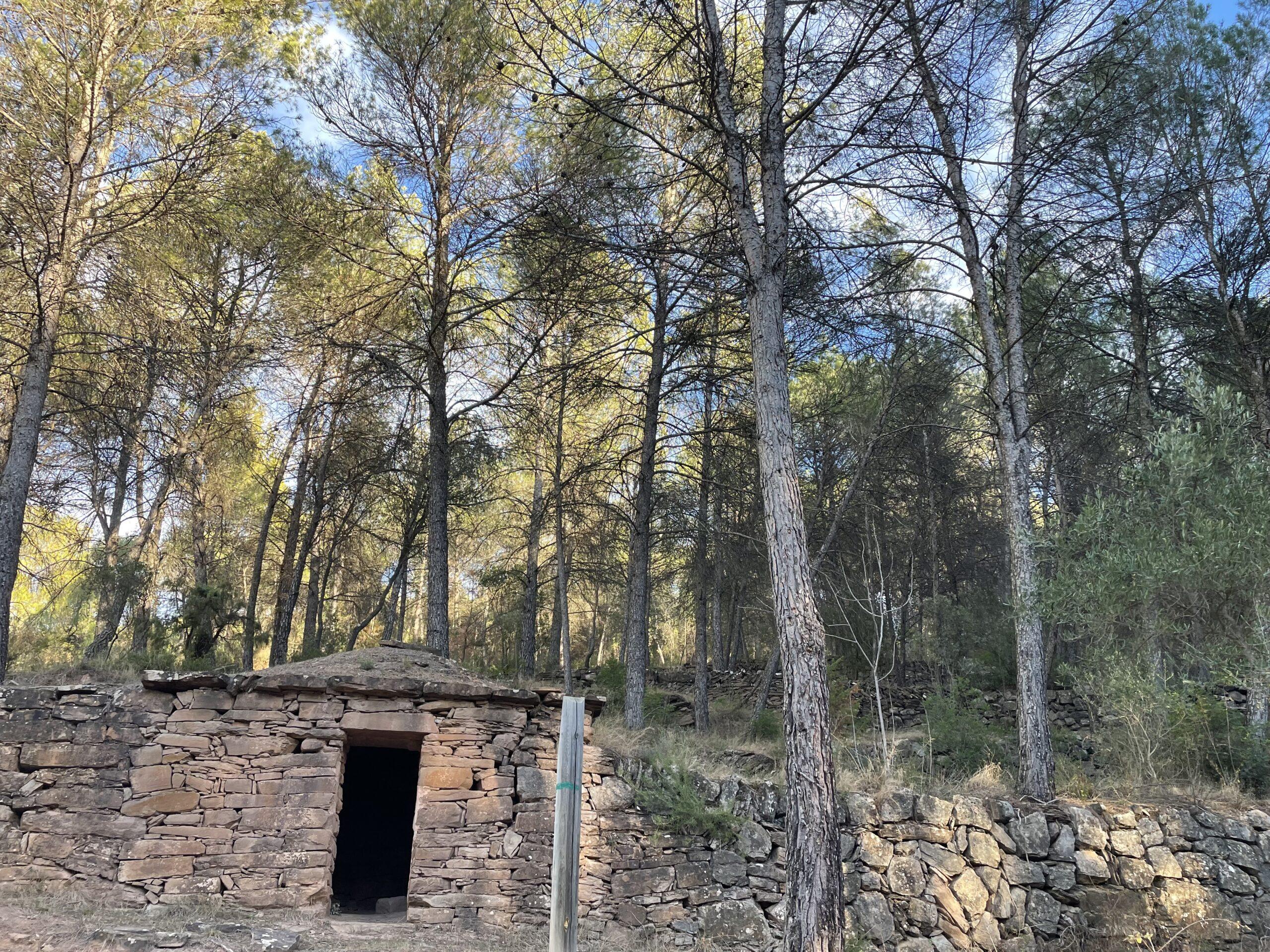 La ruta del vi de la DO Pla del Bages - Itinerario de piedra seca del Samuntá de Súria