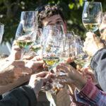 La ruta del vi de la DO Pla del Bages - XII Mostra de vins de Navàs