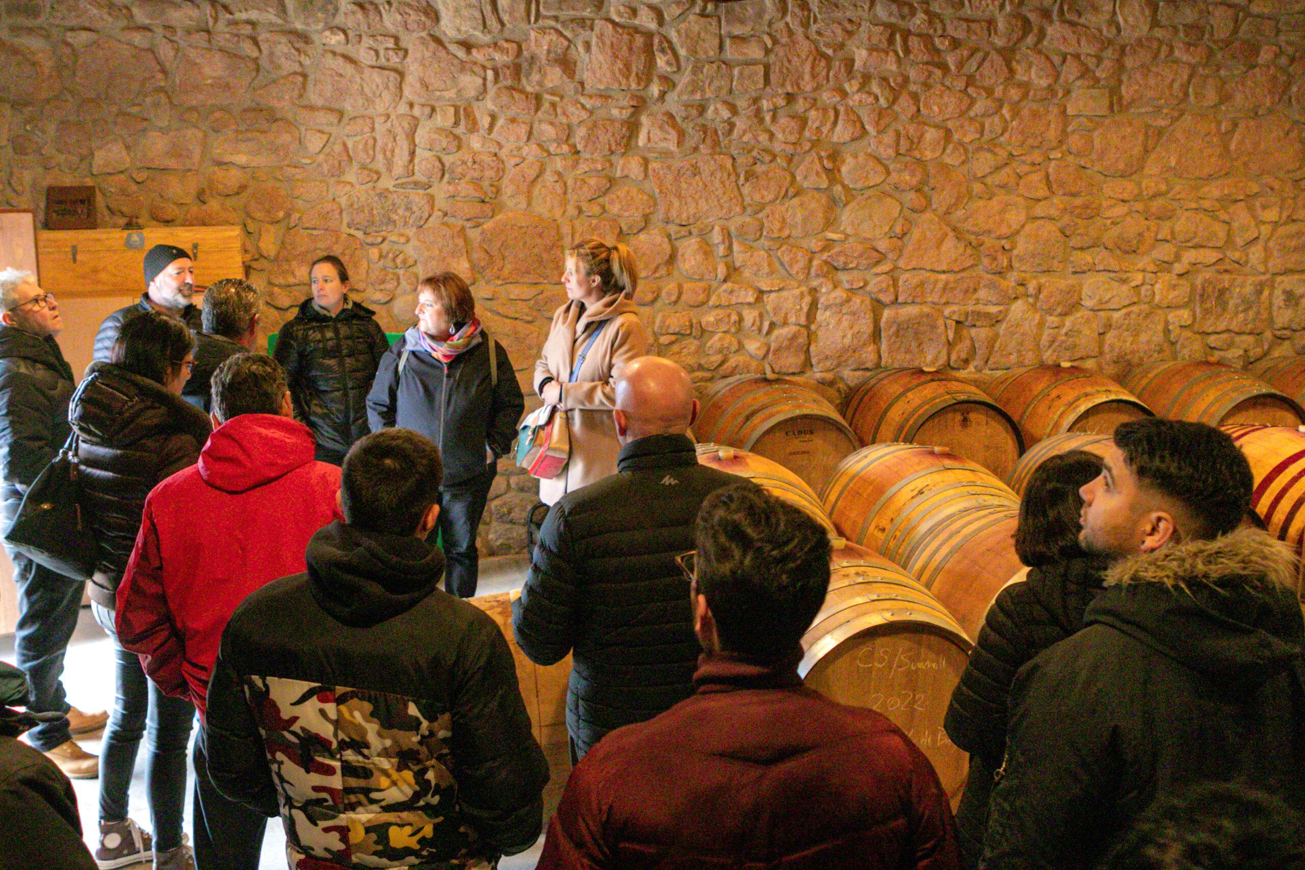La ruta del vi de la DO Pla del Bages - Portada