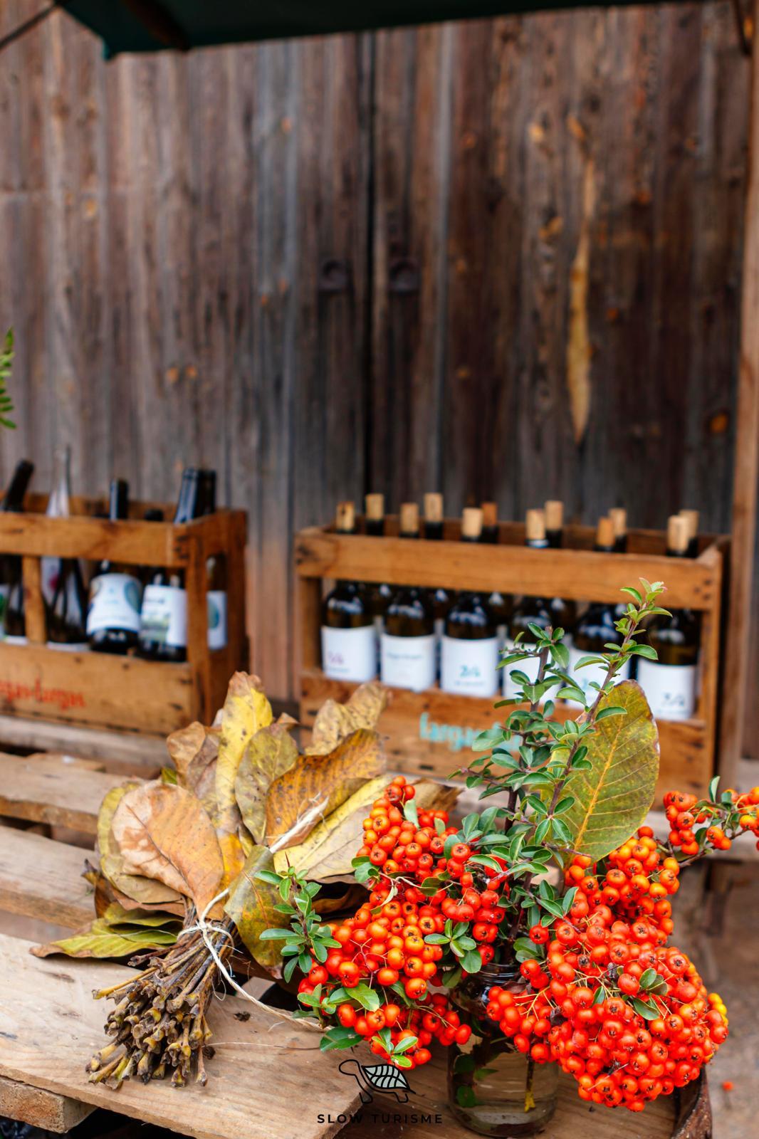 La ruta del vi de la DO Pla del Bages La ruta del vi de la DO Pla del Bages - Nadal